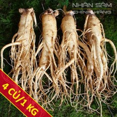 Sâm tươi Hàn Quốc 4 củ/1Kg