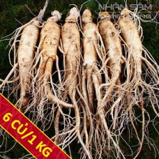 Sâm tươi Hàn Quốc 6 củ/ 1Kg
