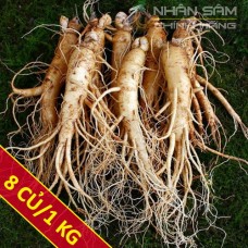 Sâm tươi Hàn Quốc 8 củ/ 1Kg